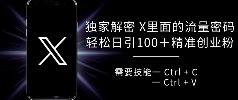 独家解密 X 里面的流量密码，复制粘贴轻松日引100+-翔云学社